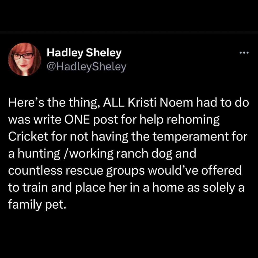 This is why @KristiNoem is such an evil b3tch. Because there were compassionate options and she still chose to shoot her puppy. #WheresCricket #KristiNoemIsEvil