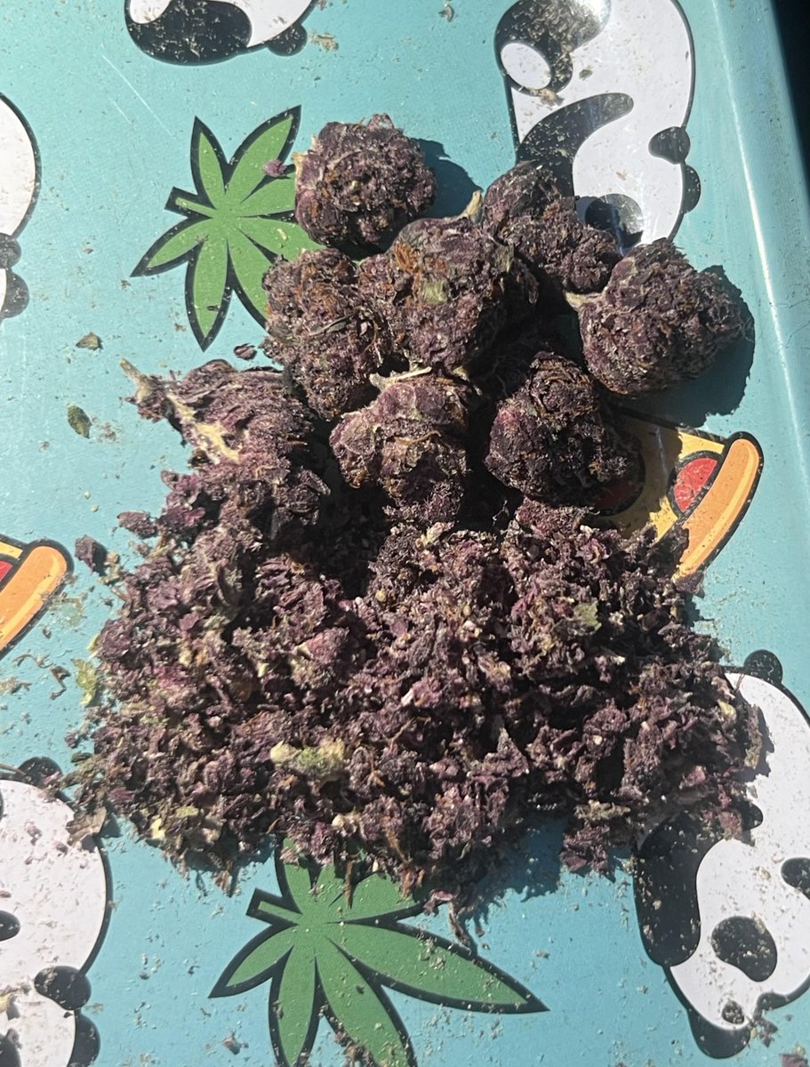 super purple #WriteWeed #StonerFam #IAmGDC #Weed