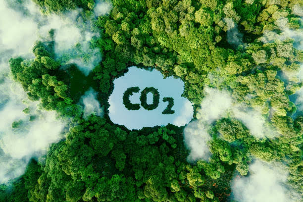 🔬 Decoding Carbon Capture: Transforming Emissions into Innovation 🌱 Today, let's explore carbon capture and utilization (CCU)—a game-changing approach in climate tech. Imagine capturing CO2 emissions and converting them into valuable products through chemical processes. 🔄