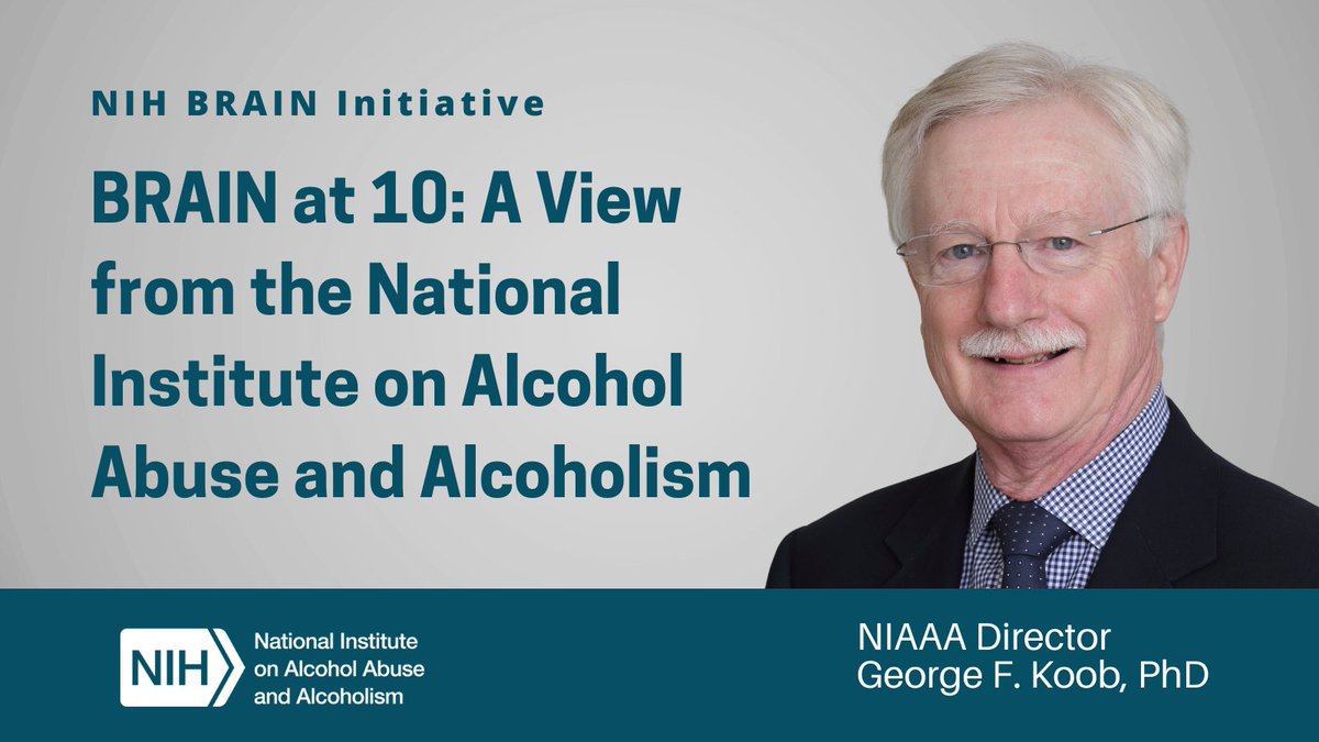 The BRAIN Initiative has been a game changer for research into how alcohol misuse impacts the brain. 

Director of @NIAAAnews George Kobb shares how the technologies, techniques, and datasets from the @NIH collab are helping neuroscientists: braininitiative.nih.gov/news-events/bl…

#studyBRAIN