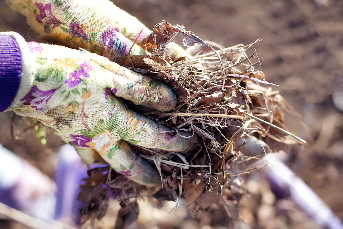 Annual Spring Clean Up of Compostable Yard Waste Begins May 21 in Ponoka Learn more at: tinyurl.com/2tn9vzk8