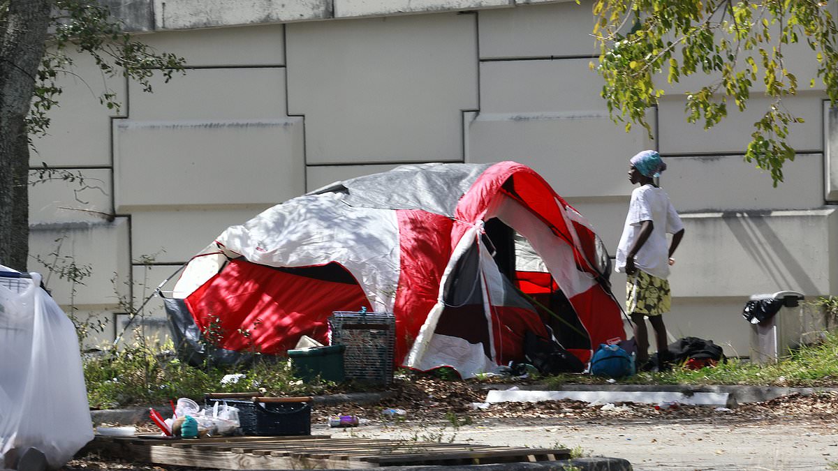 Fort Lauderdale is being destroyed by homeless hotspots that are driving customers away from businesses, say locals trib.al/W0Wtsd2