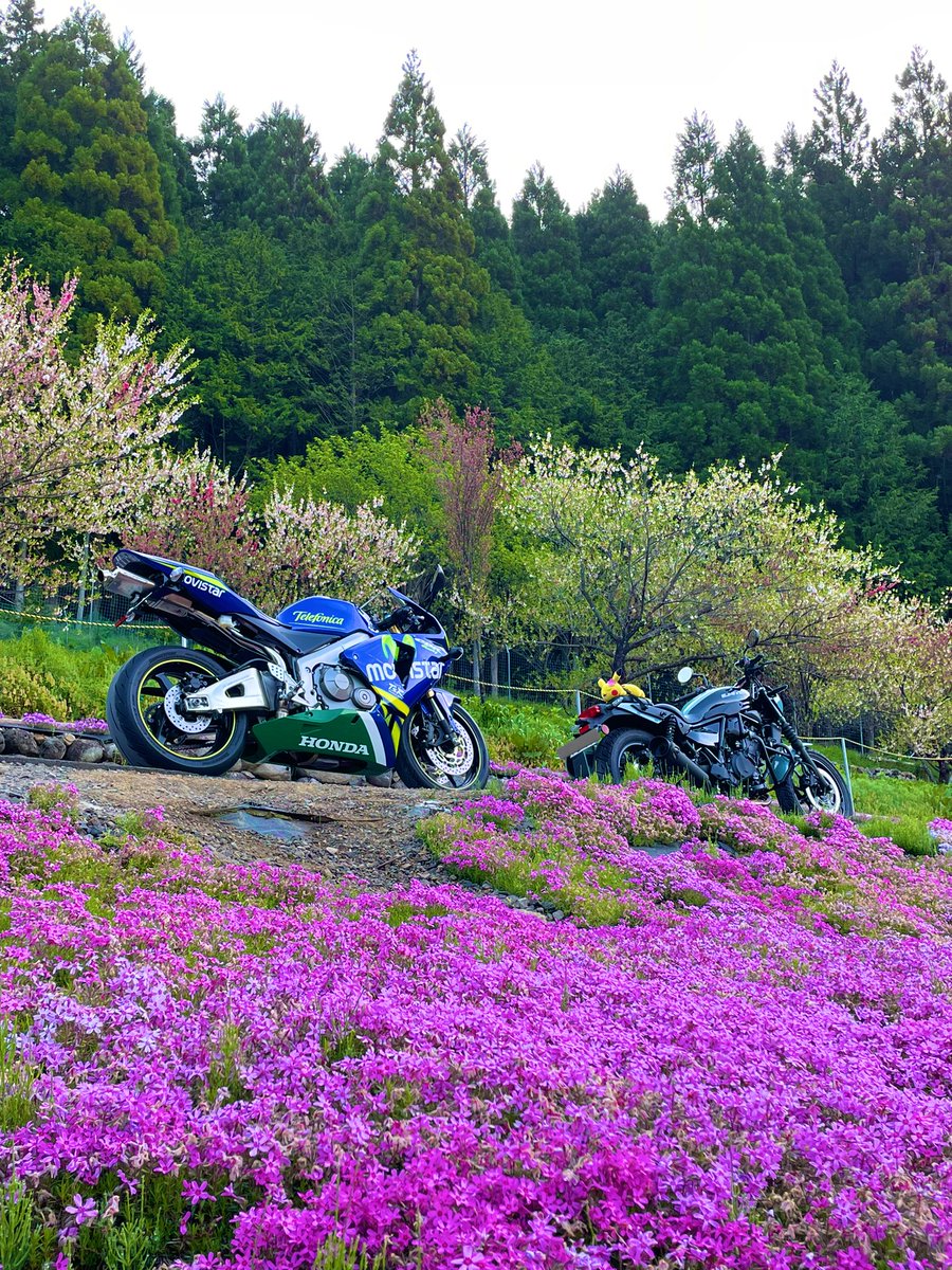 #4月を写真4枚で振り返る
名古屋モーターサイクルショー
桜ぼっちツー
ライディングスクール参加
芝桜ツー
#一緒に行ってくれたみんなありがとう 
#5月もよろしくお願い致します