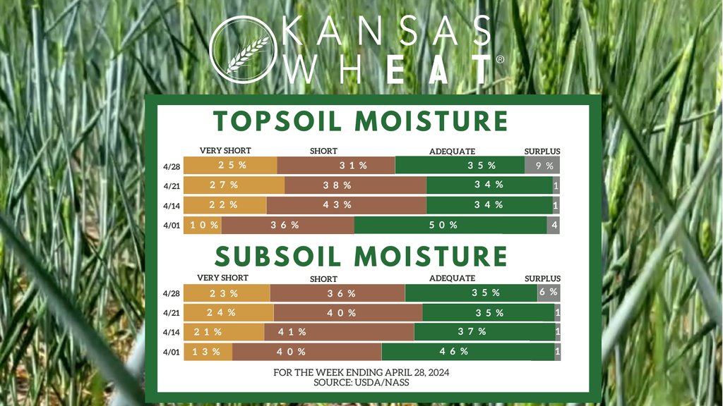 For the week ending April 28, there were 5.2 days suitable for fieldwork, according to @usda_nass. Topsoil moisture supplies rated 25% very short, 31% short, 35% adequate and 9% surplus. Subsoil moisture supplies rated 23% very short, 36% short, 35% adequate and 6% surplus.