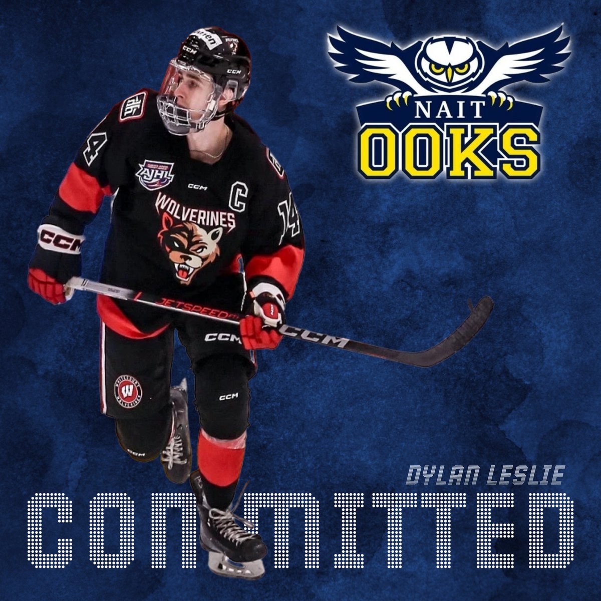 Whitecourt Wolverines Co-Captain Dylan Leslie has committed to the NAIT Ooks of the Alberta Colleges Athletics Conference (ACAC) for the 2024-25 season ajhl.ca/dylan-leslie-c…