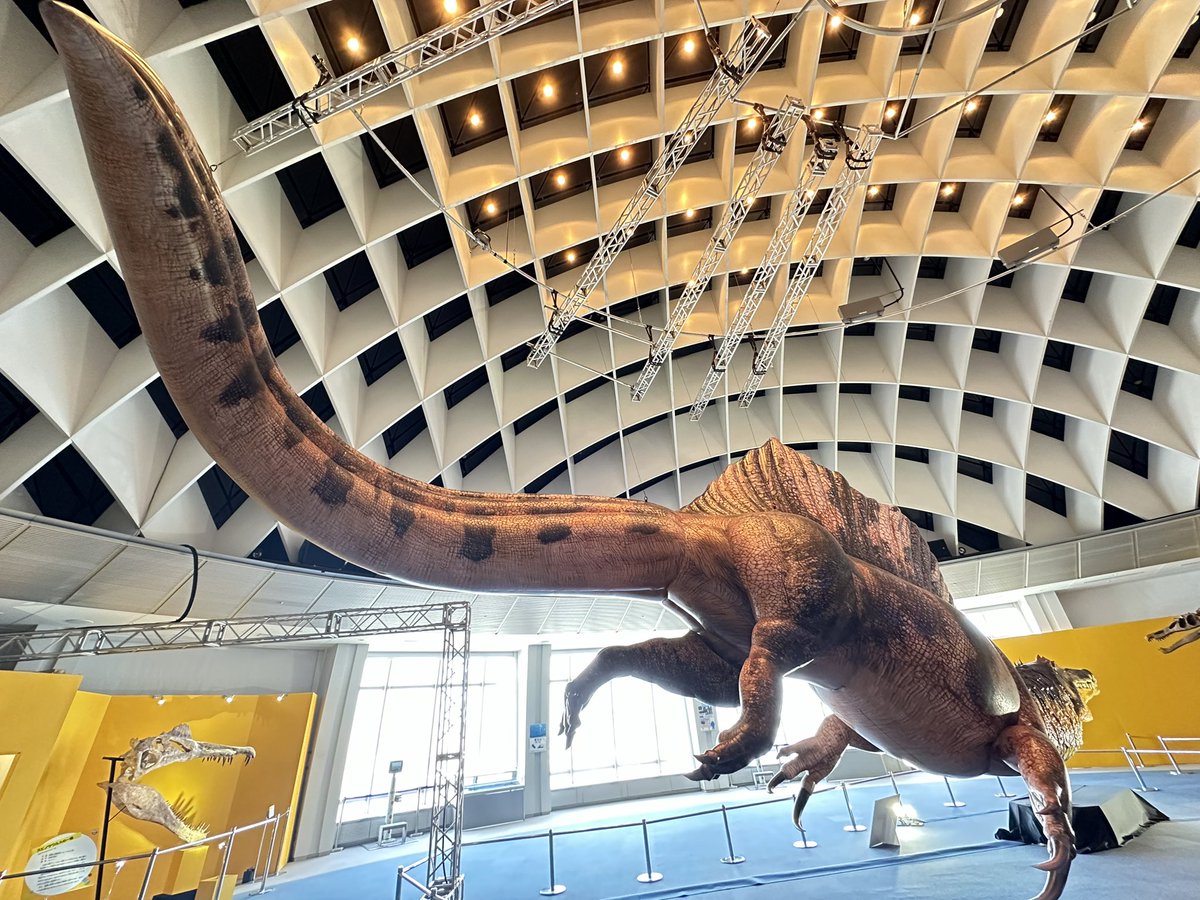 ❌恐竜大好き*.(๓´͈ ˘ `͈๓).*　世界最大の恐竜博2002 博覧会資料COLLECTION | 株式会社乃村工藝社 / NOMURA Co.,Ltd.