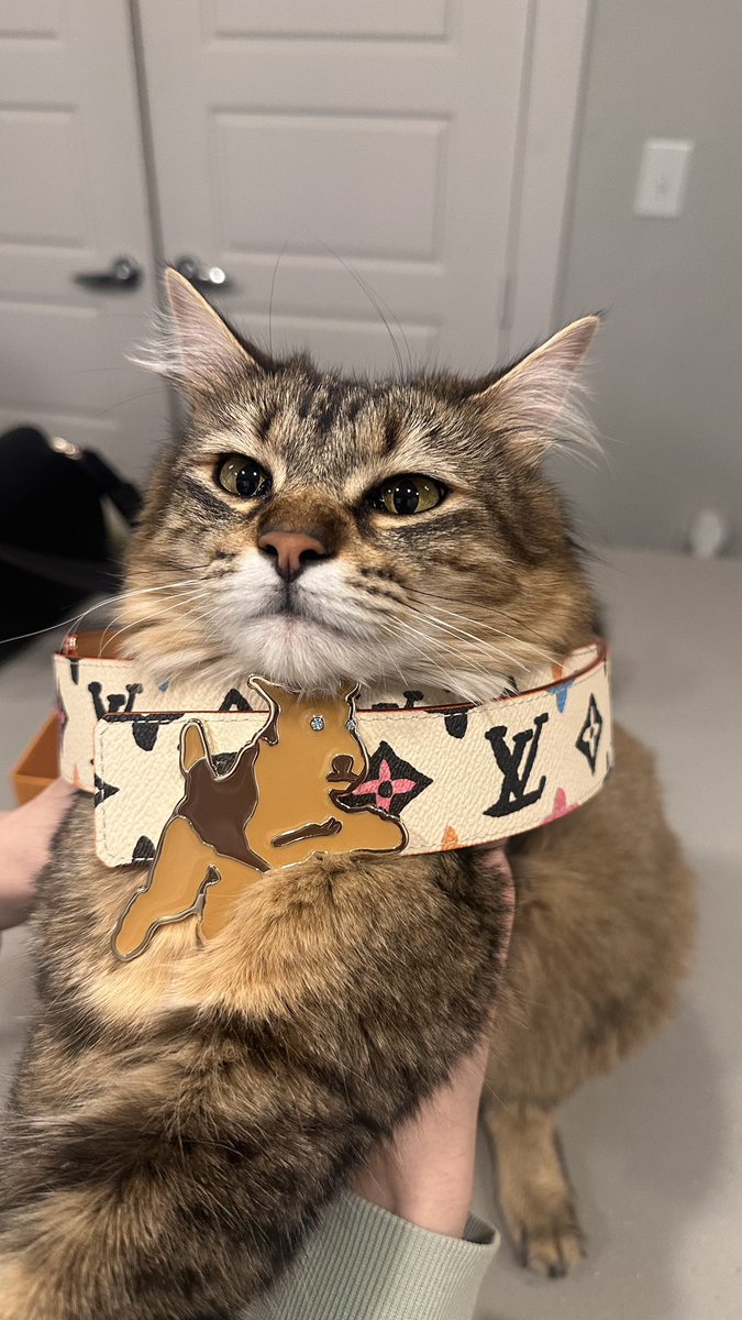 xantana (@ro7and_) on Twitter photo 