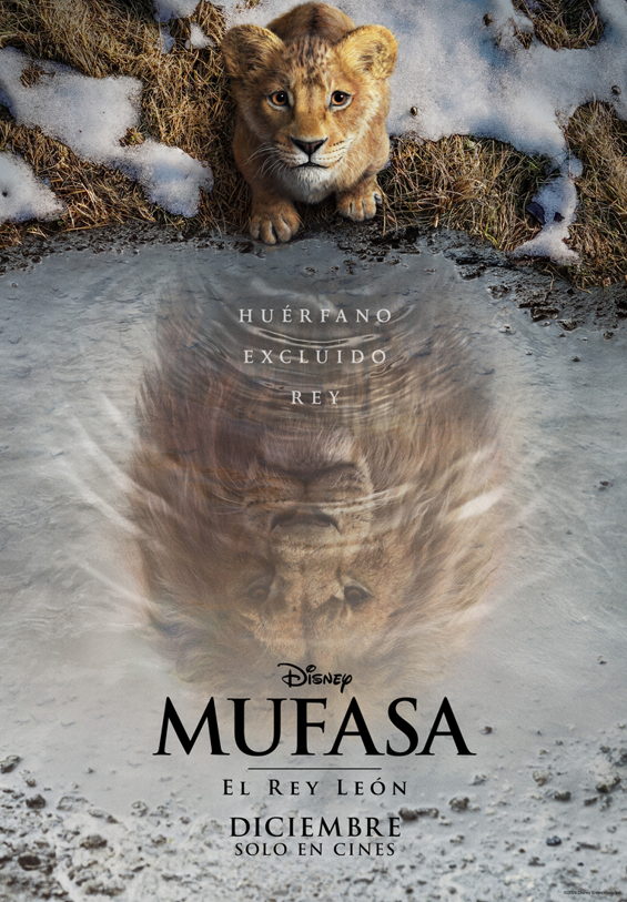 Poster de #Mufasa : #ElReyLeon  
Dirigida por: Barry Jenkins.
Con voces de: #AaronPierre #MadsMikkelsen #ThandiweNewton #SethRogen #DonaldGlover entre otros.
LLEGA A LOS CINES EL 19 DE DICIEMBRE.