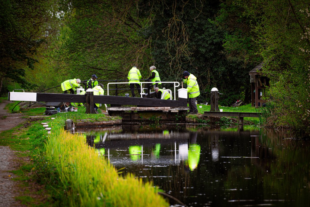 @BBCShropshire @BBCWthrWatchers @bestofoswestry @CanalRiverTrust @brianblessed
The volunteer unsung heroes of the Canals and Rivers Trust 👏 Restoration work on Montgomery canal near Oswestry, Shropshire. Photographed last week.