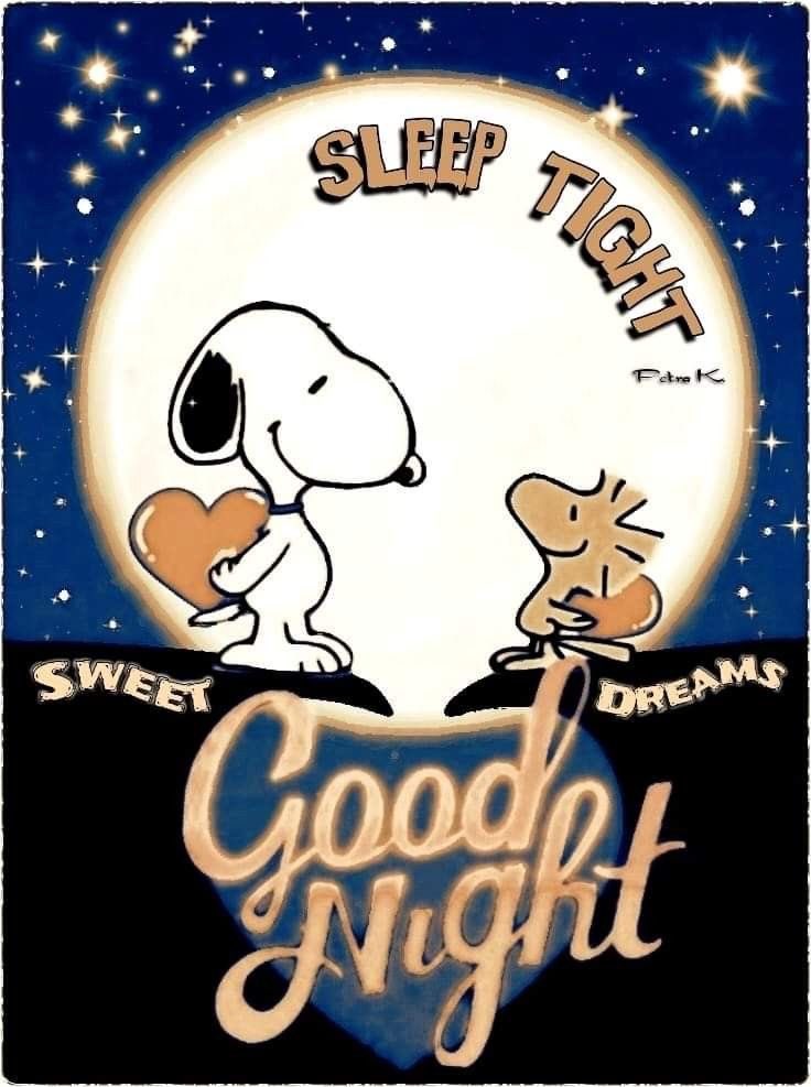 Goodnight Everyone 
#vivamknetwork #snoopy #newweeknewgoals #goodnight