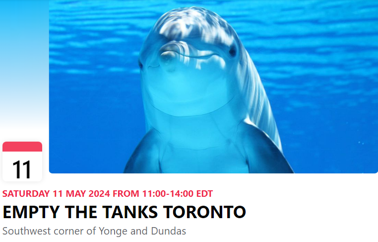 If you're in the hood.... Please come along! Duration: 3 hr
ETT is a peaceful educational demo to enlighten the public regarding the atrocities of Marineparks
Details
Event by Linda Radtke
Southwest corner of Yonge and Dundas