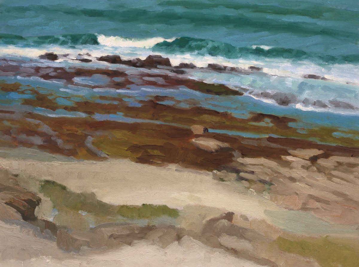 Painted this morning at Coast Blvd, La Jolla. Drop dead gorgeous day. Many pelicans flying by at just above eye level. What magnificent machines! brianbelfield.com #coastblvd #tidepool #lajolla #beach #waves #seascape #pleinair #impressionism