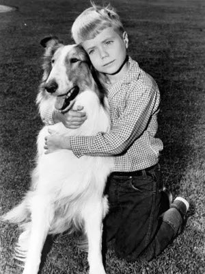 Rowrbazzle's tweet image. If Kristi Noem had been around in the sixties, Timmy would still be in that well.