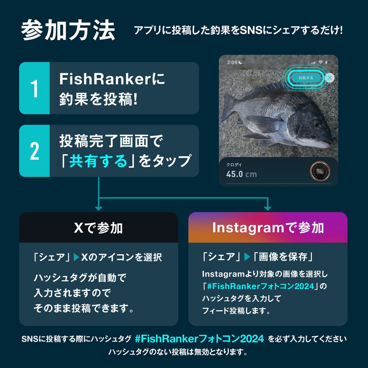 FishRanker tweet picture