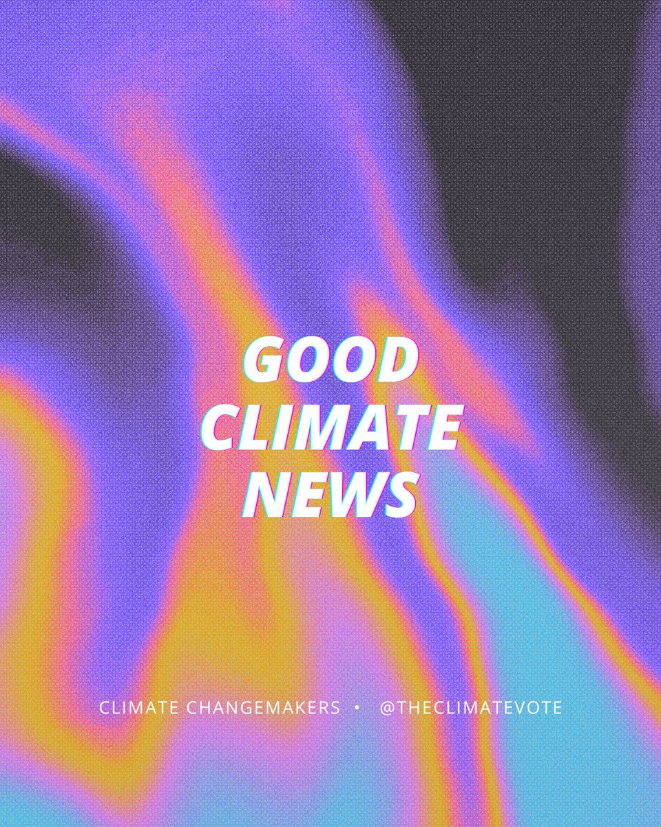 Climate Changemakers (@theclimatevote) on Twitter photo 2024-04-29 22:51:42