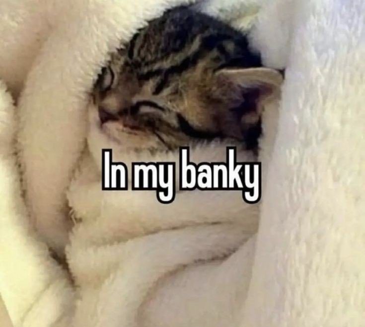 electrcdrift's tweet image. 