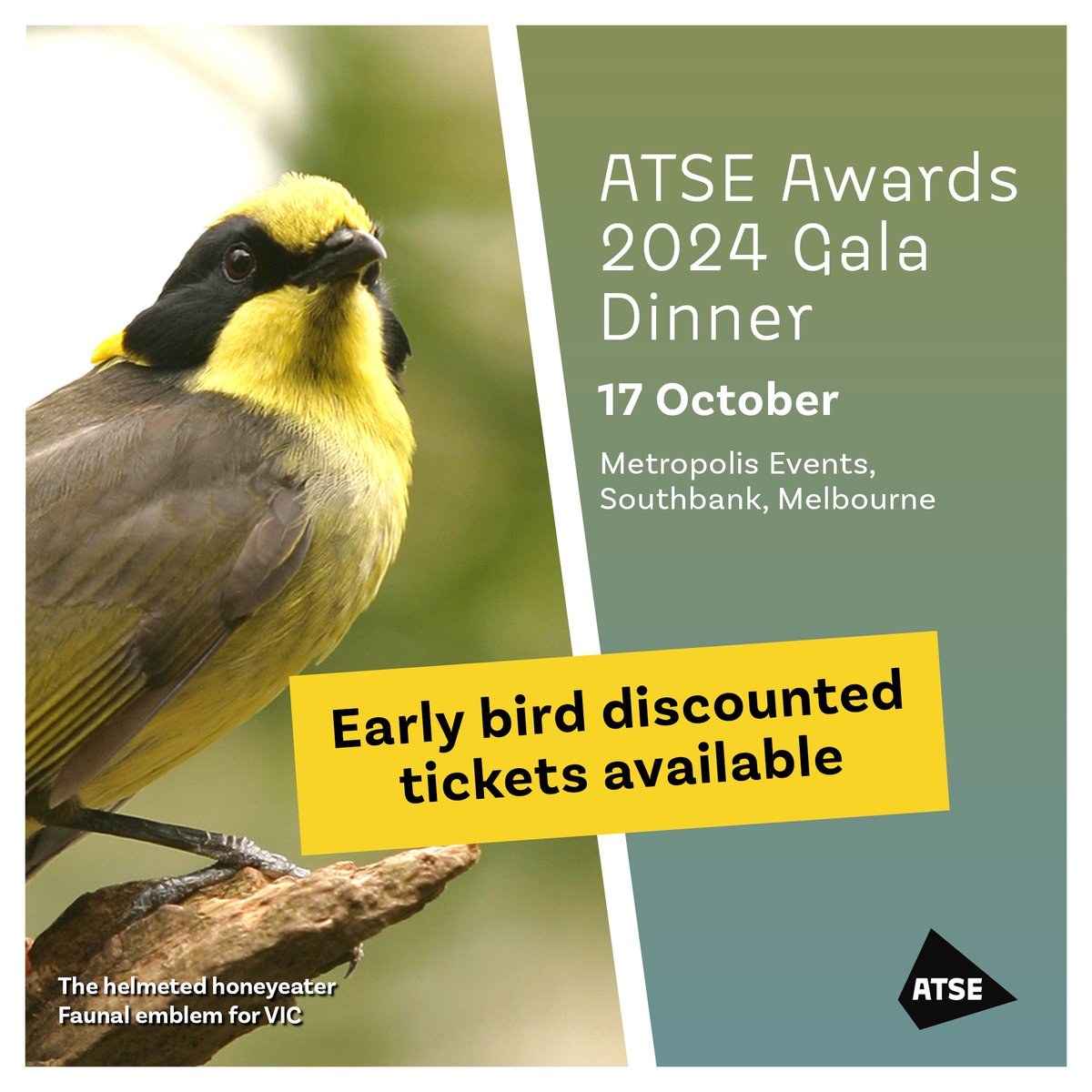 🎟️ ATSE Awards Gala Dinner early bird discounted tickets are now available! Join us in Melbourne this October for a celebration of Australia’s most esteemed and up-and-coming innovators across 6 major national categories. 🏆 📲 Get your tickets here: atse.eventsair.com/2024-new-fello…