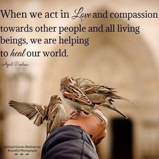 When we act in love and compassion towards other people and all living beings, we are helping to heal our world.