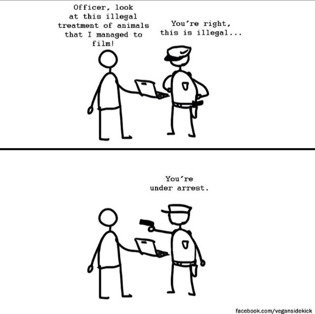 Have you heard of Ag-Gag laws?

🎨 VeganSideKick