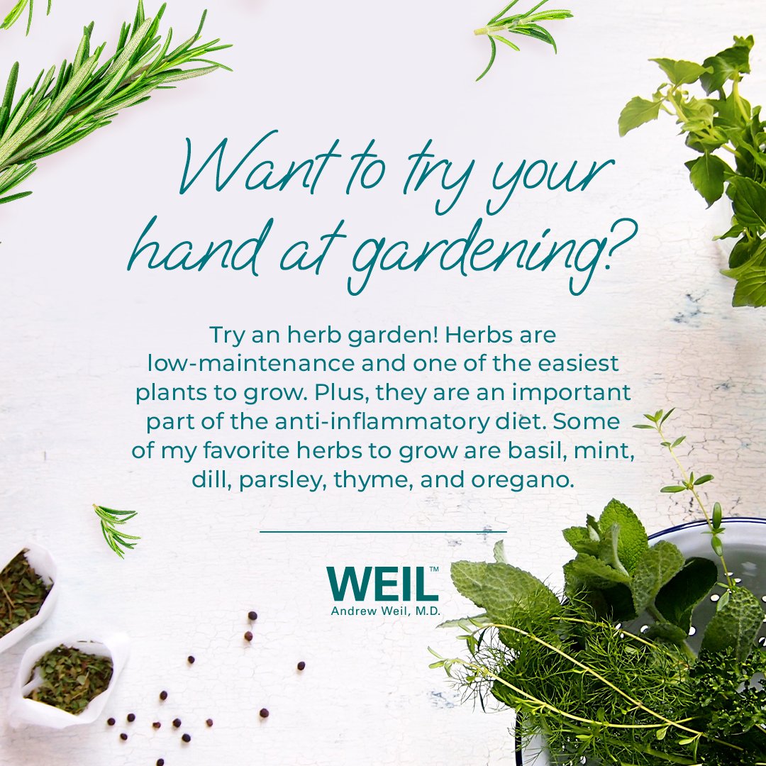 My favorite part of having an herb garden is having quick and easy access to flavor and freshness! Not only do these green gems spruce up your meals, but they also purify the air in your home and uplift your mood. drweil.com/videos-feature…