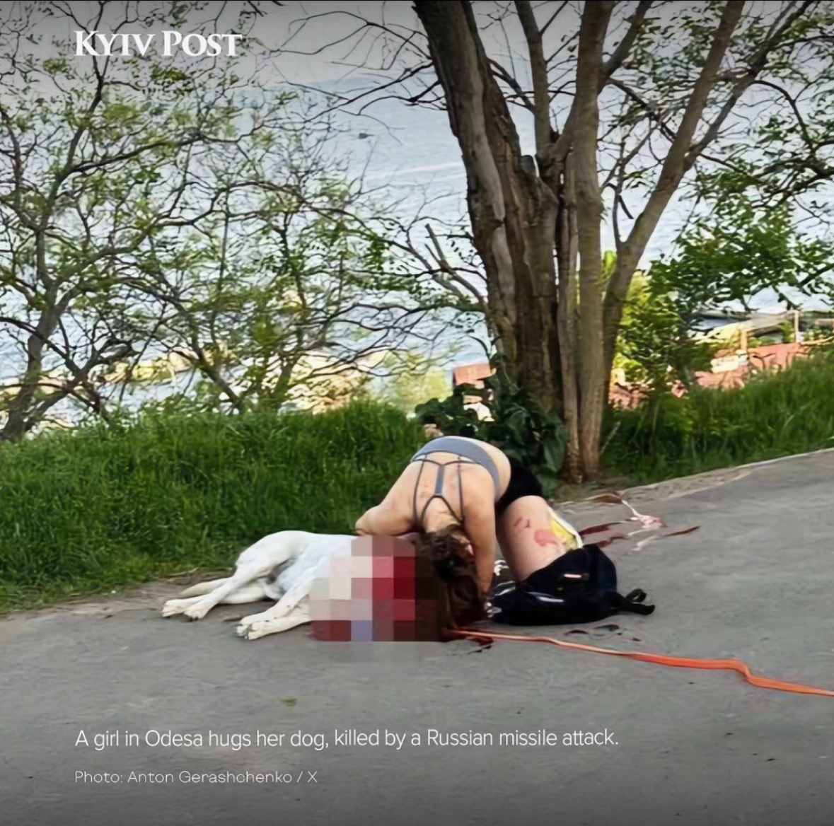 Łamiące serce zdjęcie. Dziewczyna wyprowadzała swego psa na spacer, gdy na ukraińską Odessę 🇺🇦 spadły rosyjskie pociski 🇷🇺. Zwierzę zmarło na miejscu w rękach zrozpaczonej kobiety.