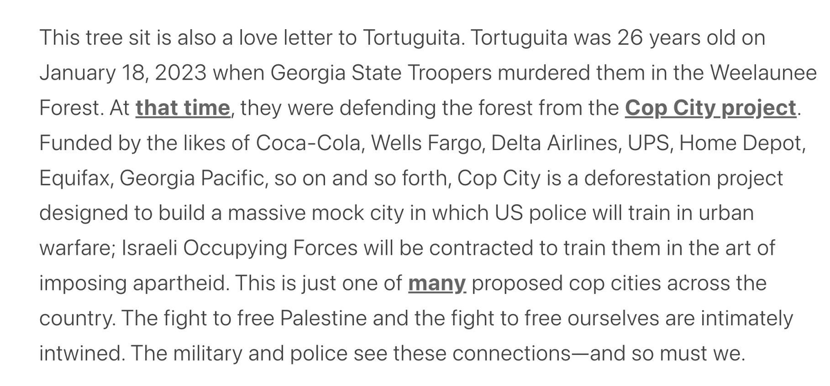 BREAKING:a tree-sit has been established at Cal Poly Humboldt,where community members have barricaded themselves inside for a week to resist campus complicity with genocide in Gaza. As police prepared to raid campus tonight, occupants wrote this statement: cwc.im/CalPolyTreesit