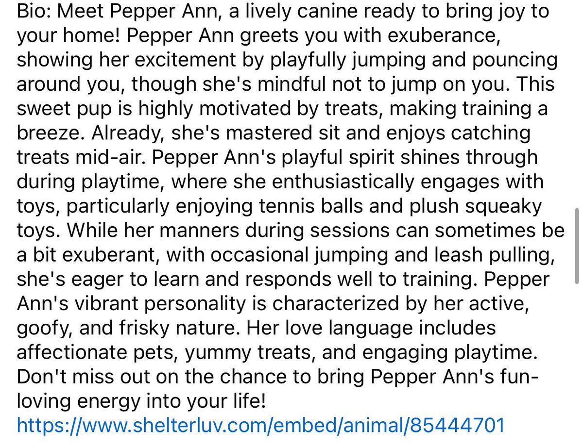 🆘 Pepper Ann is at top of euth list. Was a returned adoption, no fault of hers. Adoptive family said she was a wonderful pup & loves children! ‼️ Needs placement by 4/30 5pm ⭐️ See photos for information 📍 Greenville, #SouthCarolina @G4TXNYCpups @Dubs4Mutts @TomJumboGrumbo