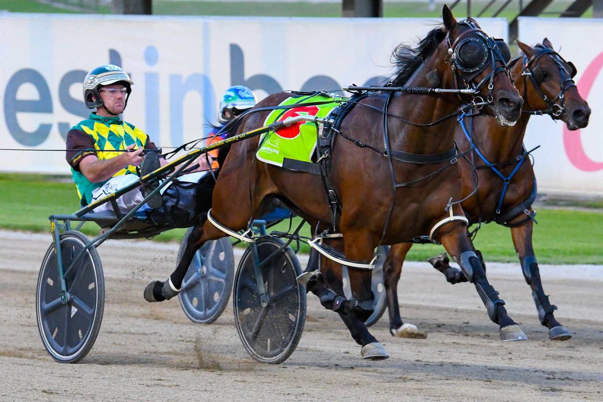 EXTREME SEA is the third horse locked into the TAB Eureka of 2024! 

In the slot of Wayne & Julie Loader, he is the 2nd representative for the Goulburn region.

Owned & bred by the Hewitt family, he is expected to head to the TAB Regional Championship heats over the coming weeks!
