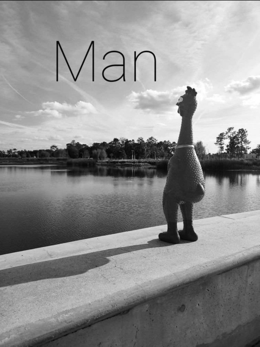 Cam Cam (@dawildcamcam) on Twitter photo 