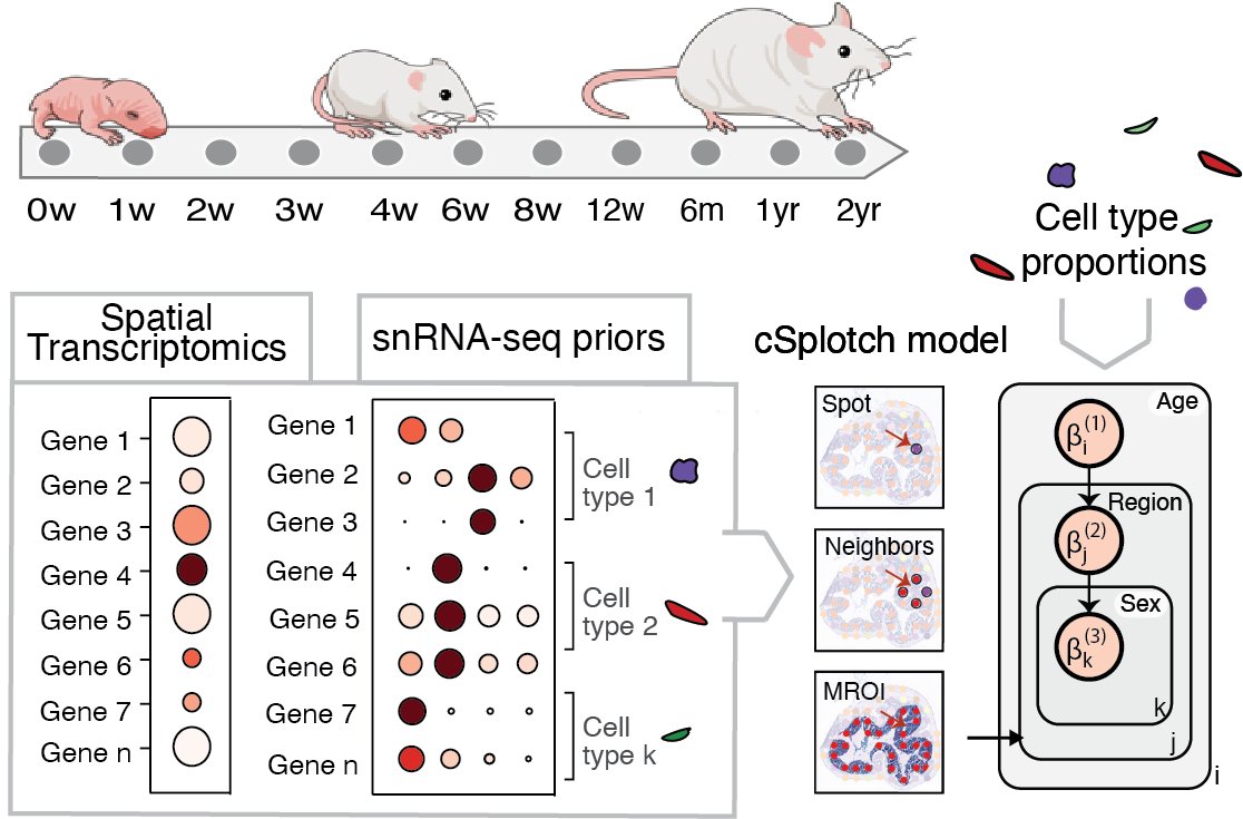 How about combining single-cell and spatial transcriptomics to study tissue and cellular spatiotemporal dynamics in colon aging? Aidan Daly, @f_cambuli, @RichBonneauNYC, Aviv Regev, and I are happy to share our latest pre-print (1/16): biorxiv.org/content/10.110…