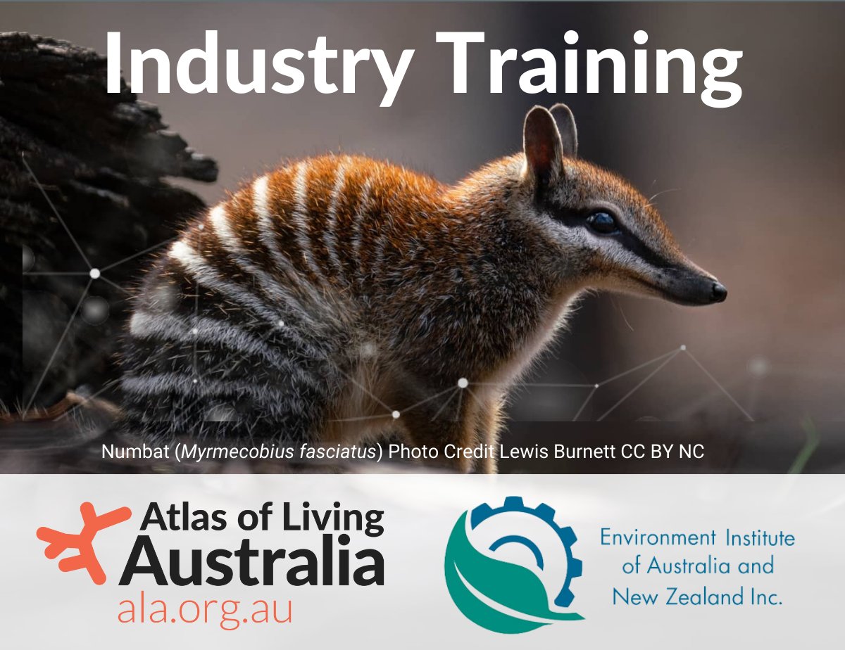 🔎👩‍💻 Are you a consultant, environmental planner, or government employee whose work could benefit from using the ALA? Join us & @EIANZorg for two tailor-made workshops!🌳 ⏰ 2 May, 1-2PM AEST 🔗 spr.ly/6019j8RAU ⏰ 7 May, 1-2:15PM AEST 🔗 spr.ly/6012j8RAs