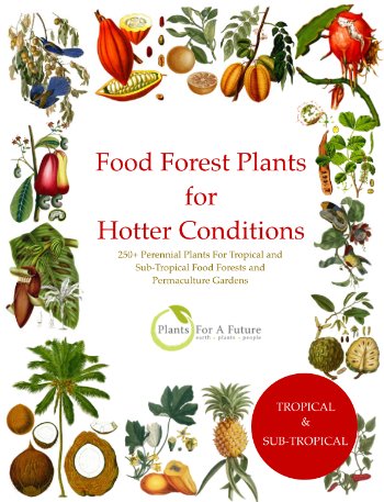 Our latest book. Food Forest Plants for Hotter Conditions: 250+ Perennial Plants For Tropical and Sub-Tropical Food Forests and Permaculture Gardens. pfaf.org/user/shop.aspx