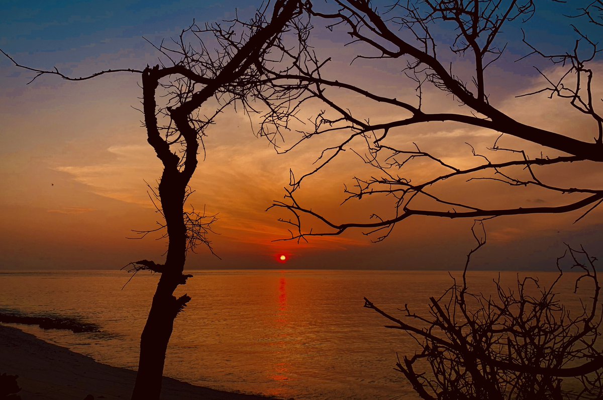 'Just like the sun sets, my love for you will be eternal.' 💗 
.
.
#tropical #nature #view #favorite #sky #sunset #travel #lovelife #goodvibes #cloudporn #summer #beautiful #picoftheday #adventure #fodhdhoo #WorldsLeadingDestination #maldives #visitfodhdhoo #visitmaldives 🌴