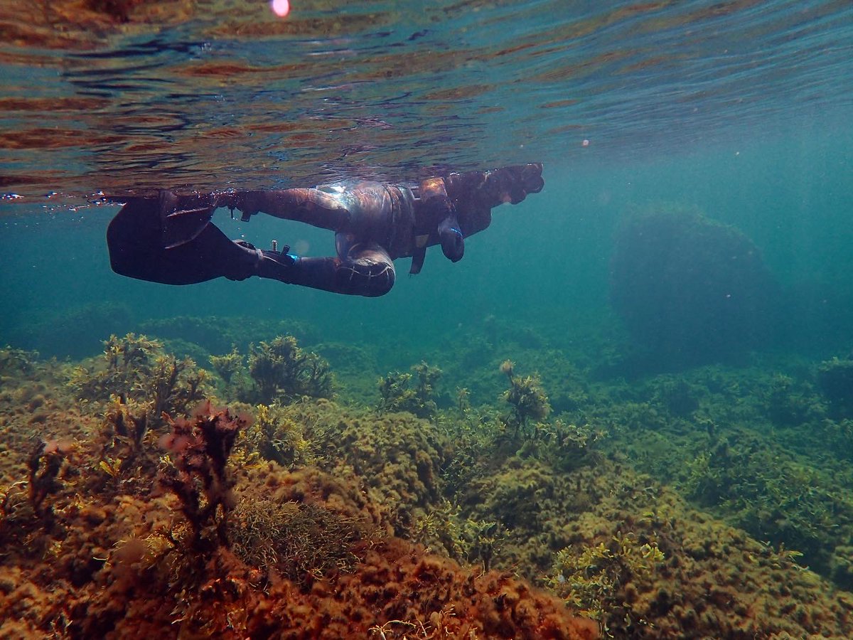 High conservation value areas identified in the marine environment off Nova Scotia. cpawsns.org/high-conservat…