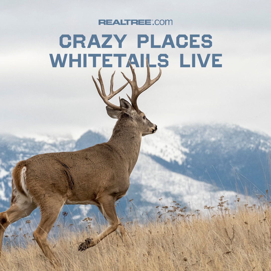 More whitetails live in North America than anywhere, but there are populations of them in Peru, Finland, New Zealand, and other corners of the globe, too. Click to learn more: realtree.me/3Qn9aGS #Realtree