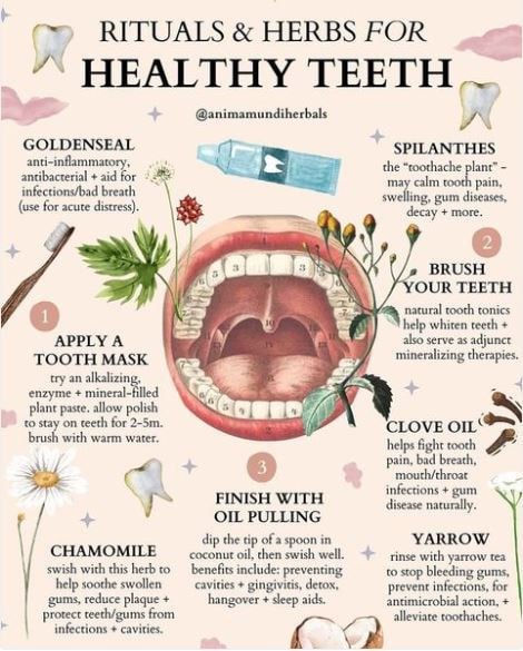 Rituals and Herbs For Healthy Teeth