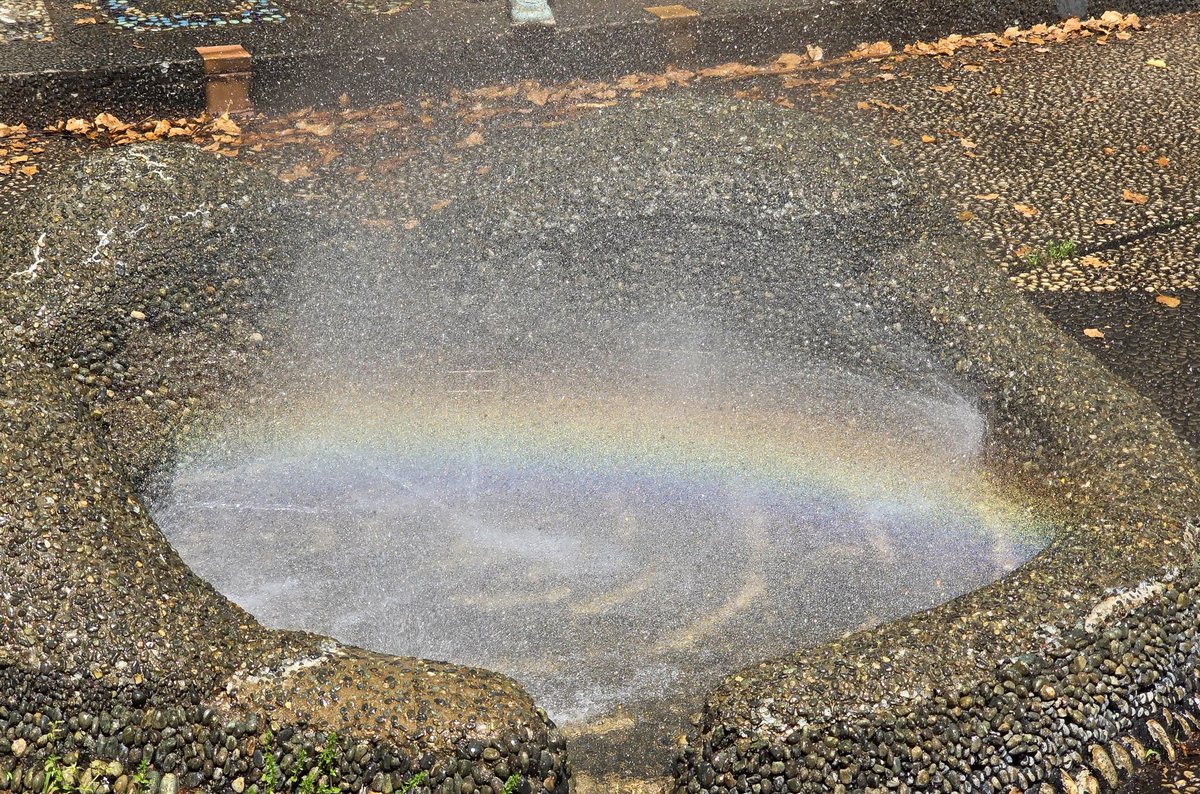 小さい水遊び場に虹🌈
.
🗓 2024.4.28
🗾 #東京 #昭和記念公園
📷 #GalaxyS24Ultra
#写真好きな人と繋がりたい
#ファインダー越しの私の世界
#WithGalaxy #photography