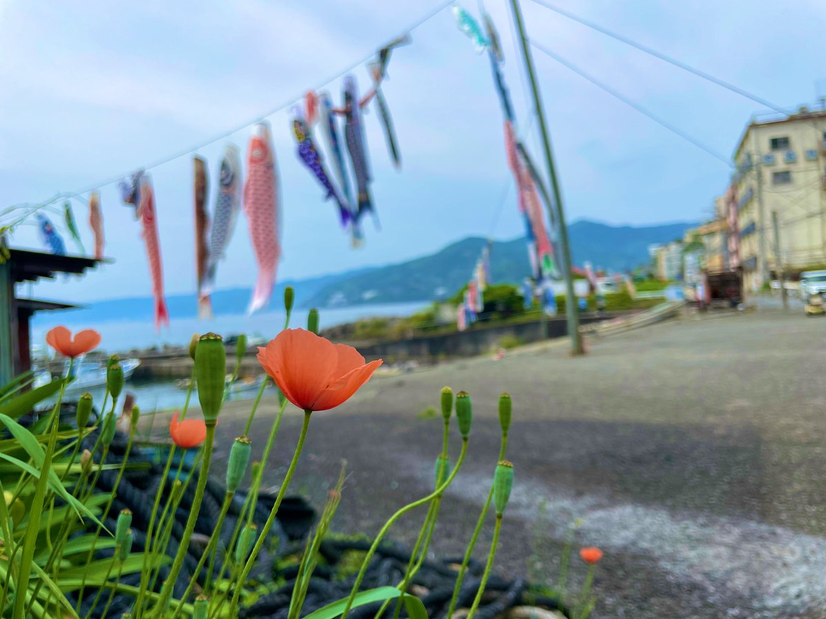 #キリトリセカイ
#myworldinonepicture

『Carp streamer 🎏』