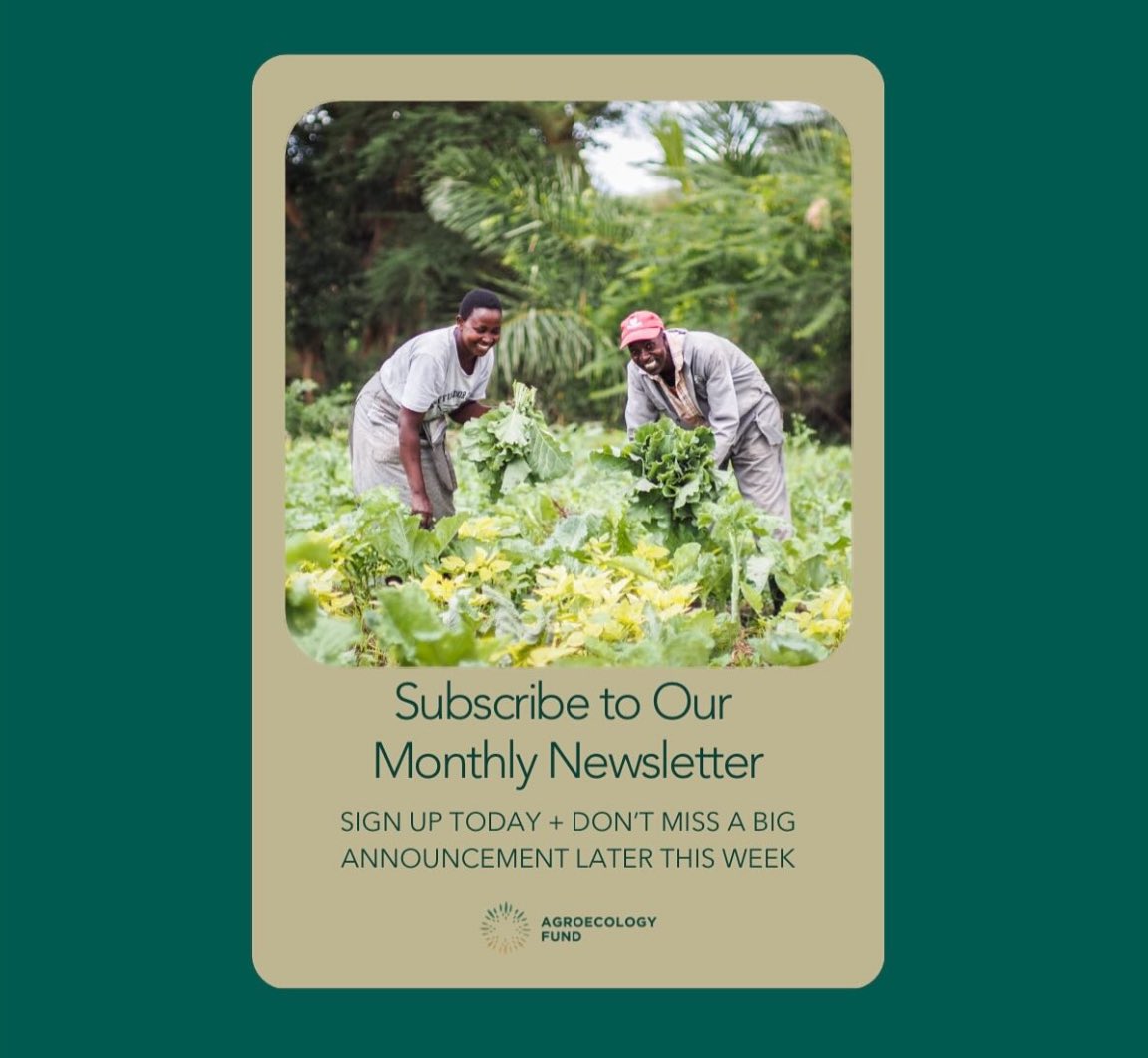 Do you receive our monthly newsletter updates? Subscribe today and don’t miss out on this month’s edition. We have big news! agroecologyfund.us17.list-manage.com/subscribe?u=ca…