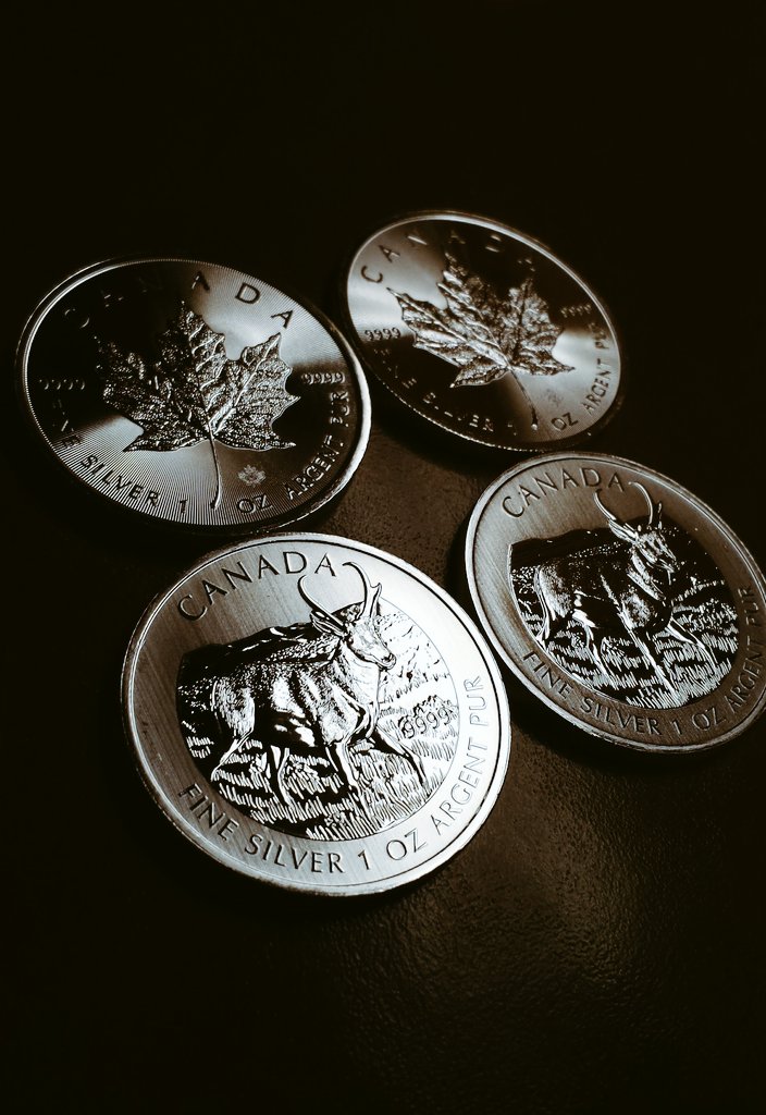 Hey, remember the great potential in using part/all of #taxrefund (depending on #Financial situation) on that beautiful #Silver! We can really push that #SilverSqueeze! #preciousmetals #money #MoneyMatters #investing #FinancialFreedom #tax #Bullrun2024 #investors #stacking