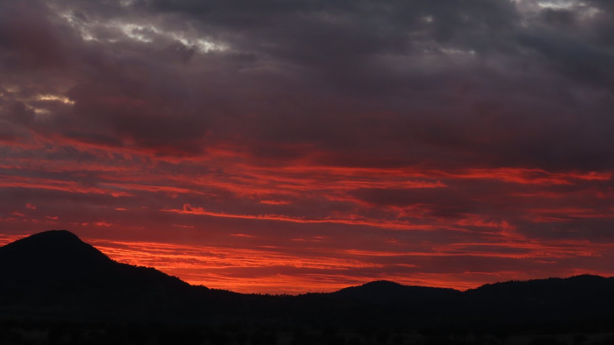 My wife took her Canon Bridge camera up the hill this morning, She uses her own settings for aperture and shutter speed and eshews using the pre-programmed settings in the camera.