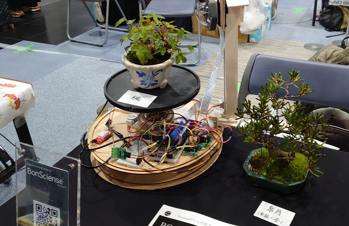 今回のMaker Faire Kyoto2024で１番の展示は九州大学のBonsaiIoT。自動水やり装置から始めて現在は3Dスキャナーを用いて盆栽のデータ取り込みの研究をされておりました。さらに点群データから骨格抽出まで。装置の意匠がおしゃれで素晴らしい！#MFKyoto2024 #BonsaiIoT #BONSAIENCE