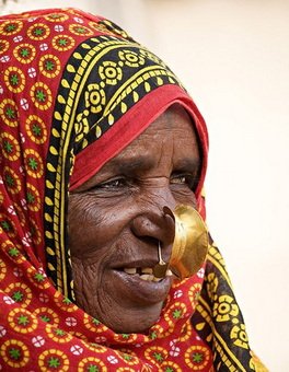 ⭐️ JUST SO YOU KNOW: The Irob community speaks the 'Saho' language, one of Eritrea's nine tribal languages. There are Irob communities in northern Ethiopia that also speak Saho, and most of them practice the Catholic Christian faith. The Saho ethnic groups in Eritrea
