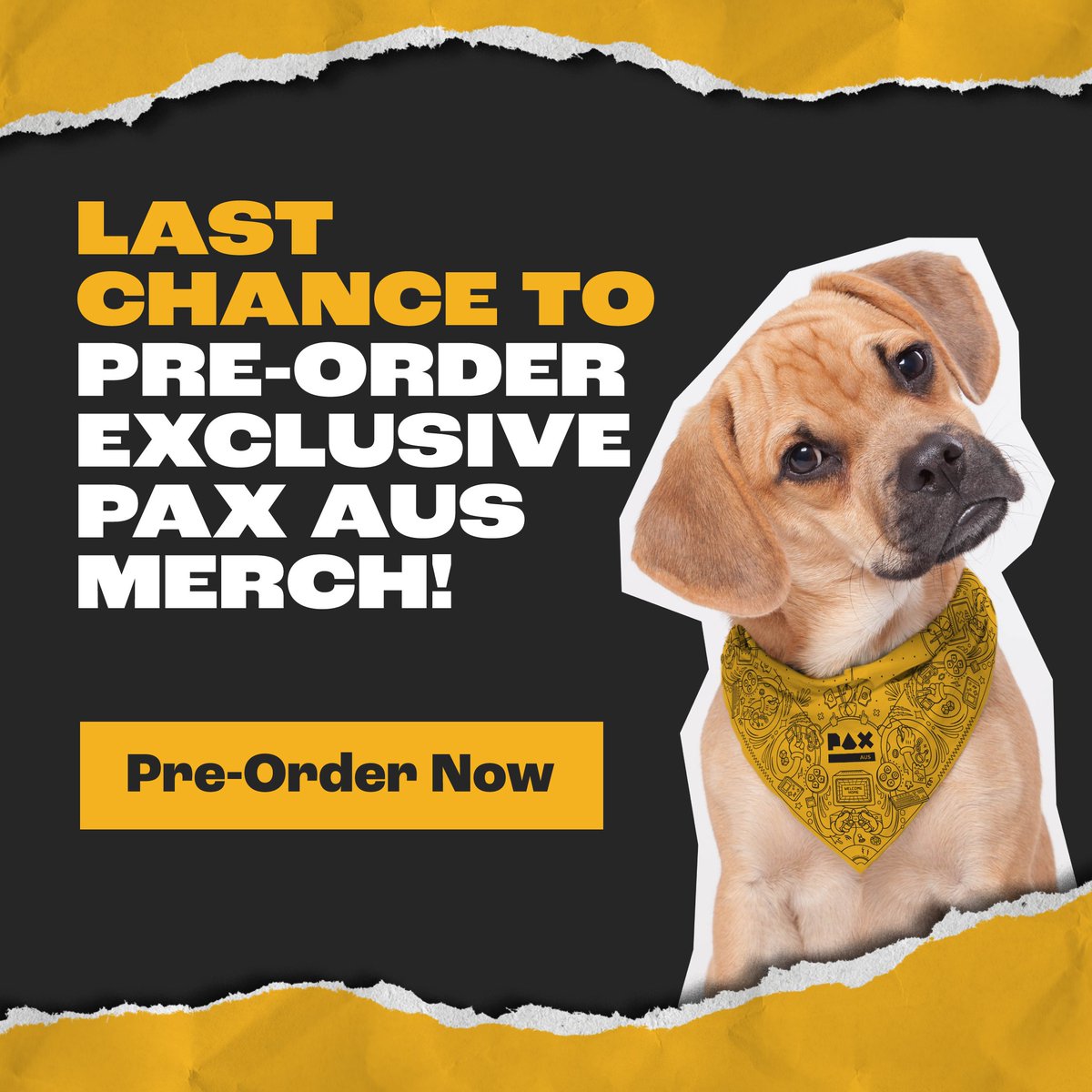 ATTN ALL! Merch Pre-Orders END THIS FRIDAY! This is your last chance to score a snazzy PAX Aus bandana for your pet! Pre-Order Merch & Book Your Badge Here: aus.paxsite.com/en-us/registra…