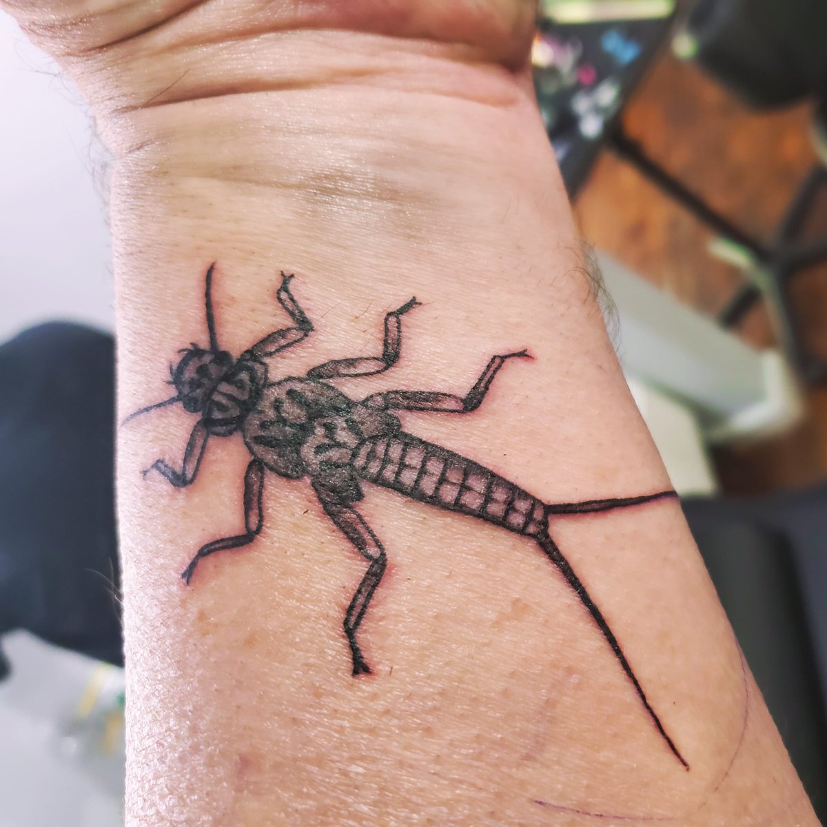 cmcdaniel6's tweet image. Belated birthday ink..