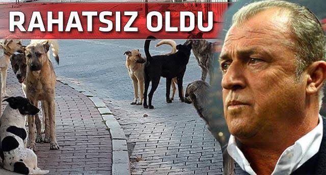 yatarken bıyığım ağzıma girdi düzelttim burnuma girdi amk