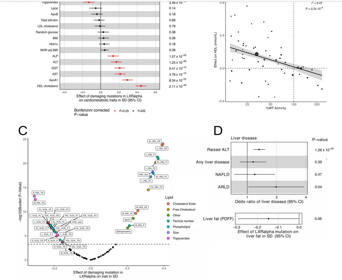 Loss of function mutations in LXRα occur in at least 1/450 people and are associated with evidence of liver dysfunction, implicating LXRα in the maintenance of human liver health @StephenORahilly biorxiv.org/content/10.110…