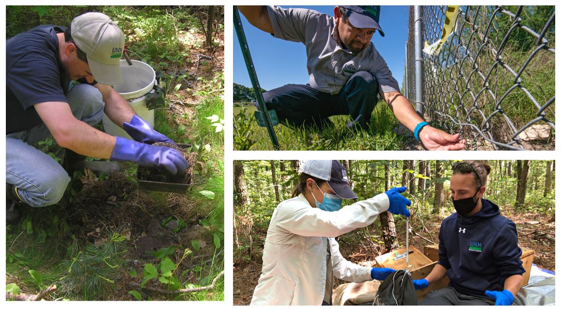 Want a career in wildlife management? We’re hiring a Biological Science Tech to support wildlife damage prevention + control operations in WI. You can help protect agriculture, natural resources, & native species as part of our team! Apply by 5/3/24. usajobs.gov/job/788678700