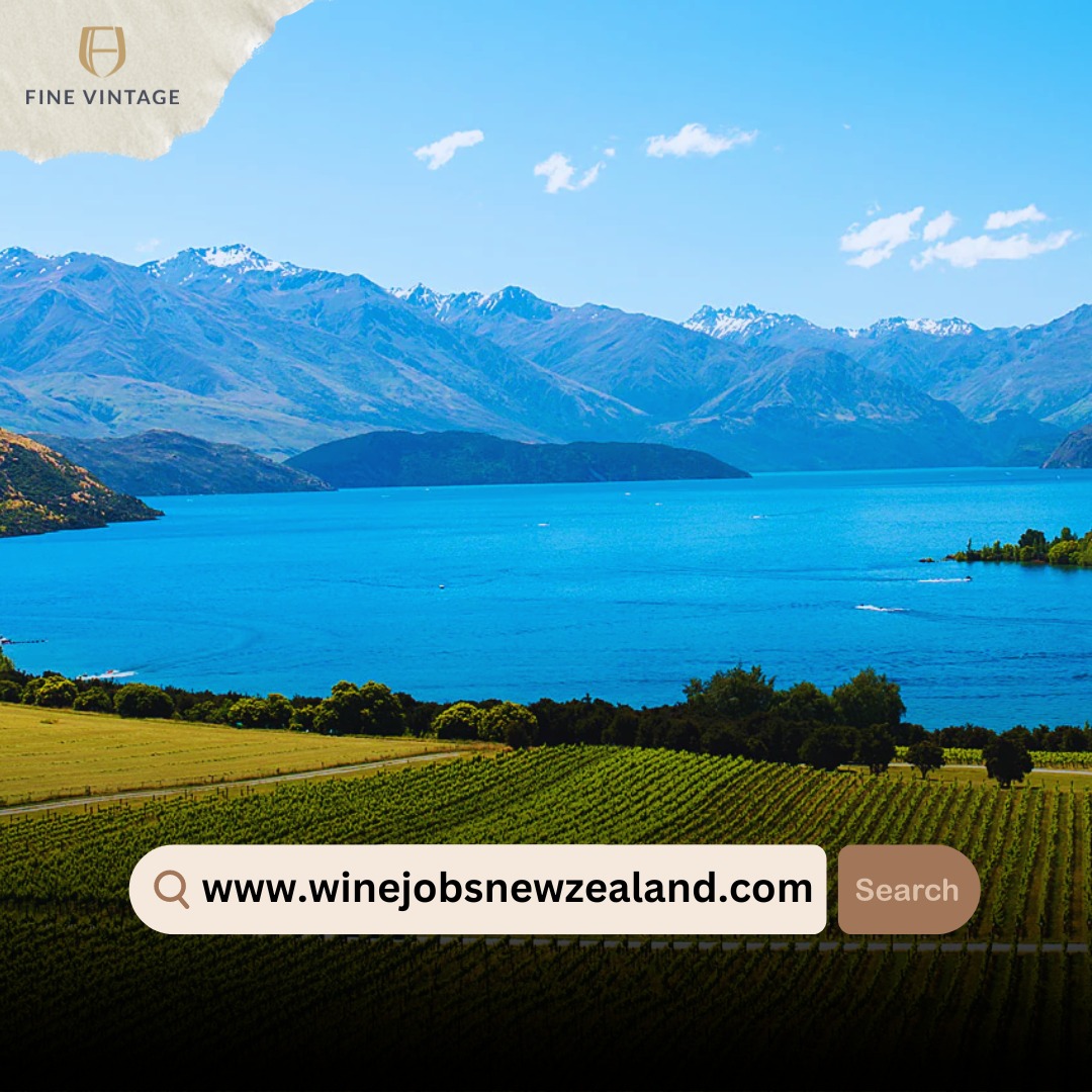 New Zealand is a small wine producer in the global rankings but she makes some stunning wines, especially Pinot Noir, Sauvignon Blanc, Chardonnay and others too. Ever tried the Syrah? Find at job at winejobsnewzealand.com
#newzealand #wineproducer #winelover #wine #JobHunt