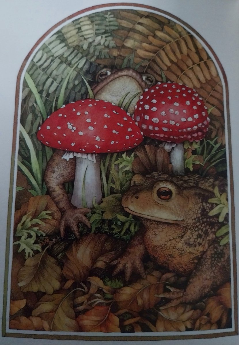 'Toads and Toadstools' by Valerie Greeley